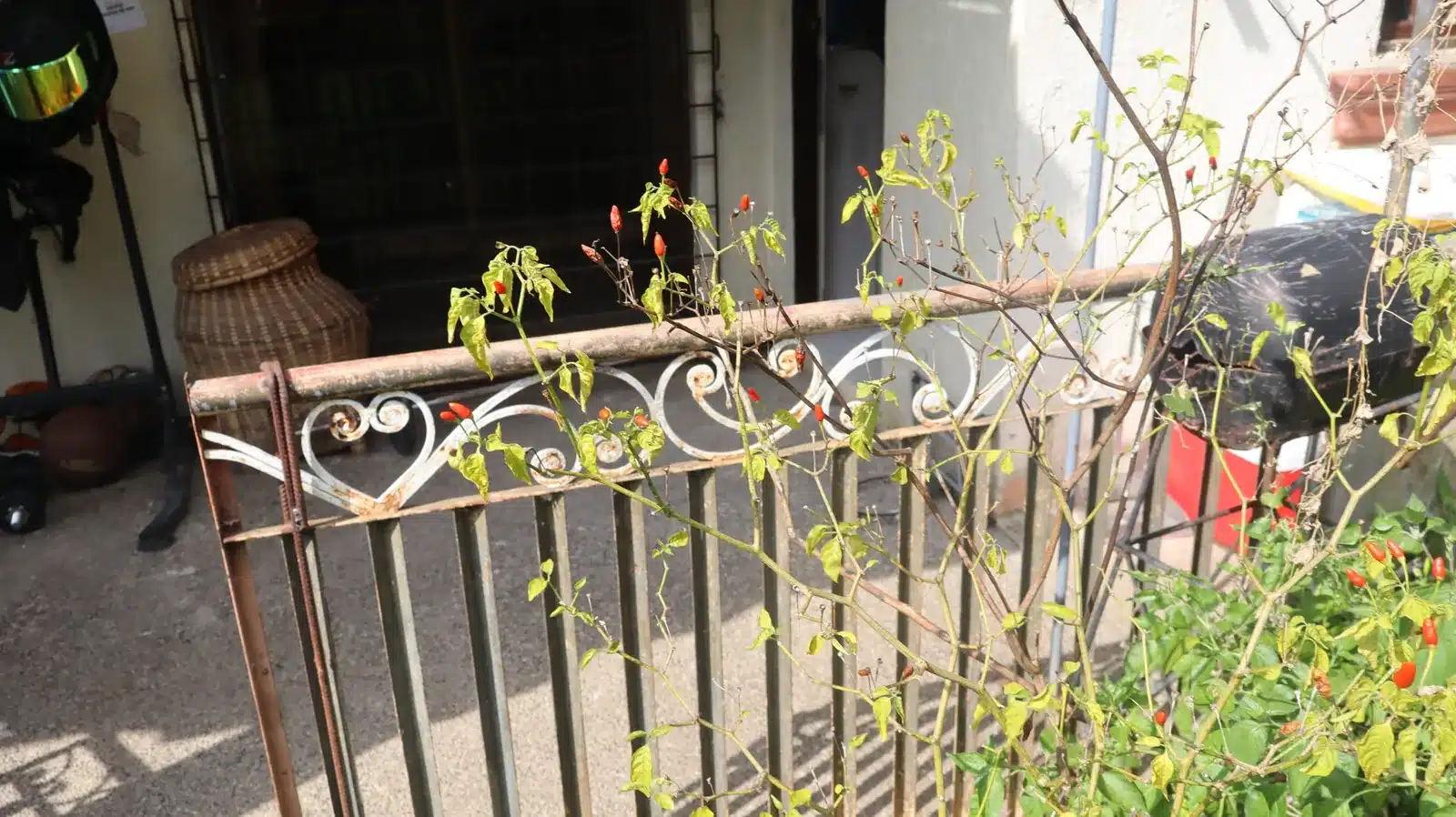 Property condition assessment & indicative value range: camella gran europa, lumbia, cagayan de oro 13 Weathered wrought-iron railing with surface rust at the porch of a camella gran europa house, cagayan de oro