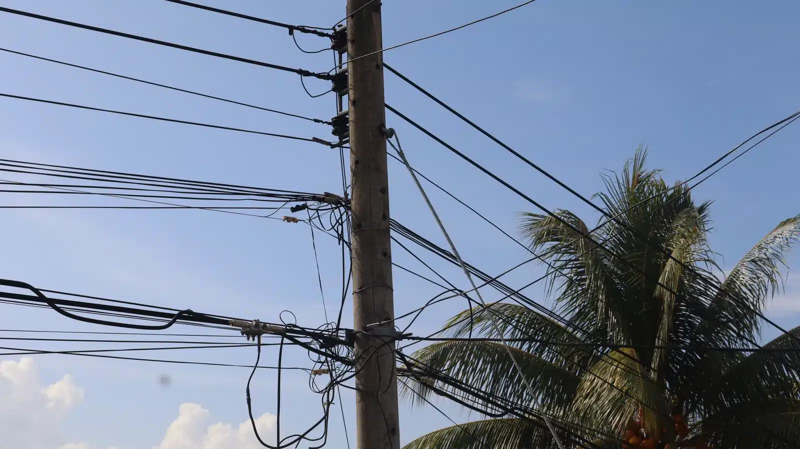 Property condition assessment & indicative value range: camella gran europa, lumbia, cagayan de oro 9 Utility pole with overhead electrical and communication lines beside a coconut palm near a house in camella gran europa, cagayan de oro