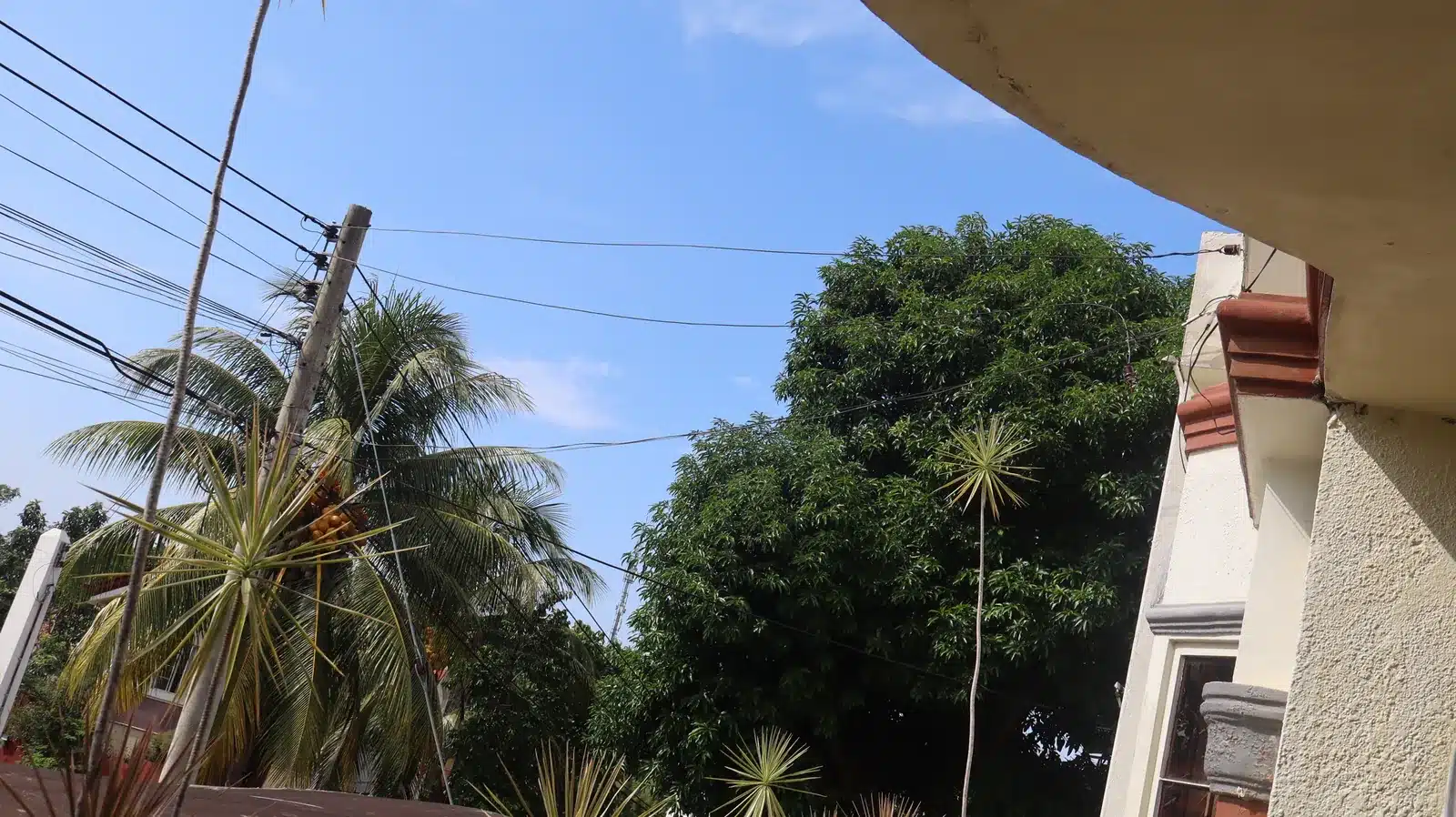 Property condition assessment & indicative value range: camella gran europa, lumbia, cagayan de oro 10 Utility pole and overhead lines beside a coconut palm and the eave of a camella gran europa house, cagayan de oro